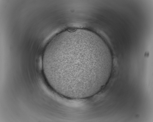 X0000110960020200907022232