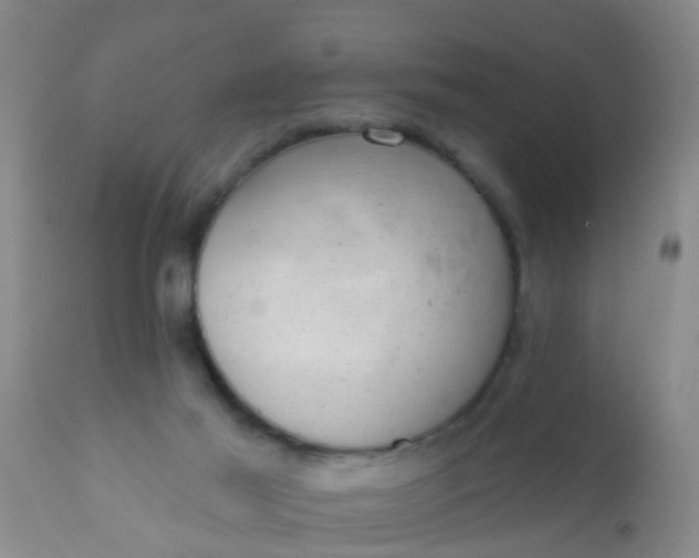 X0000110960021200907022232