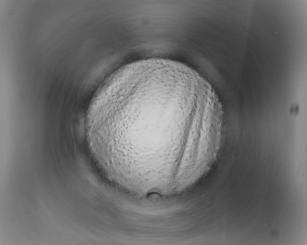 X0000110960022200907022231