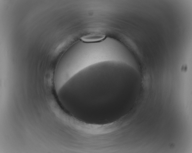 X0000110960023200907022231