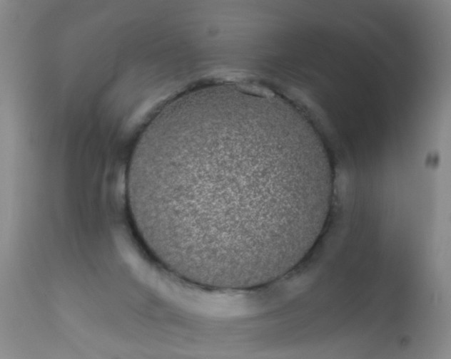 X0000110960024200907022231