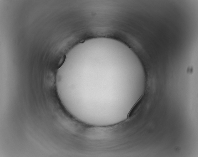 X0000110960025200907022231