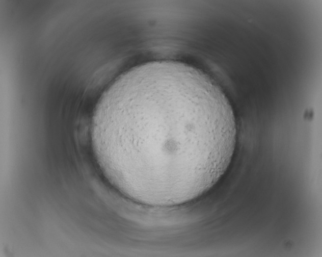 X0000110960026200907022231