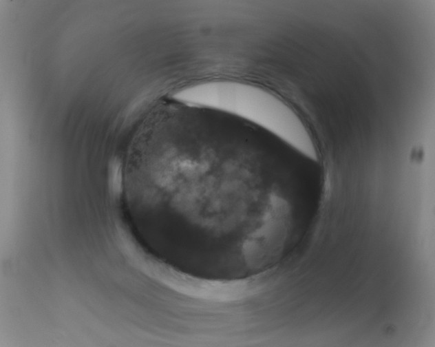 X0000110960027200907022231