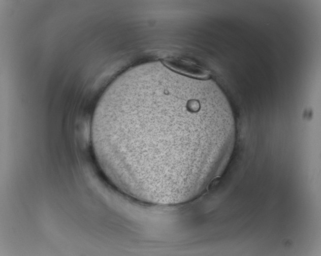 X0000110960028200907022231