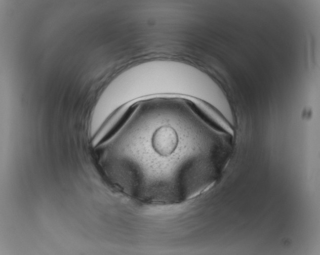 X0000110960029200907022231