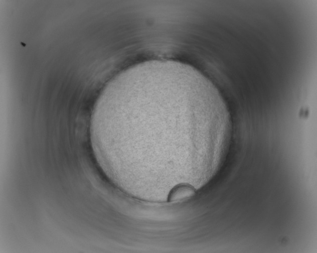 X0000110960030200907022231