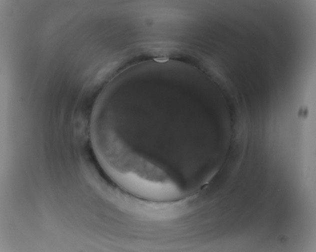 X0000110960031200907022231