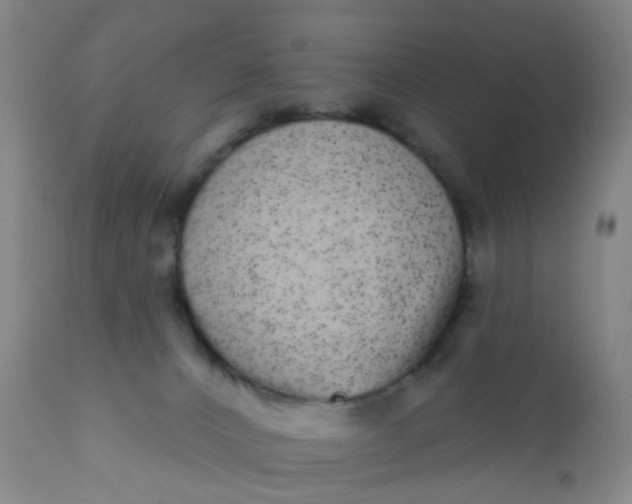 X0000110960032200907022231