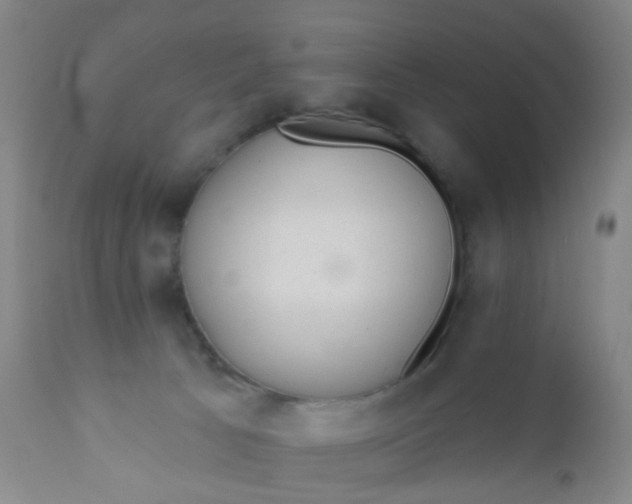 X0000110960033200907022231