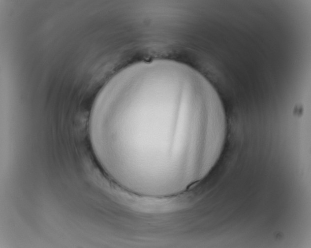 X0000110960034200907022231