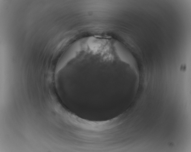 X0000110960035200907022231