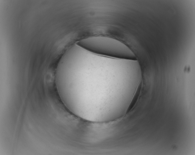 X0000110960037200907022231