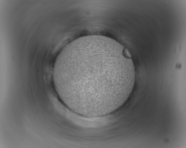 X0000110960038200907022231