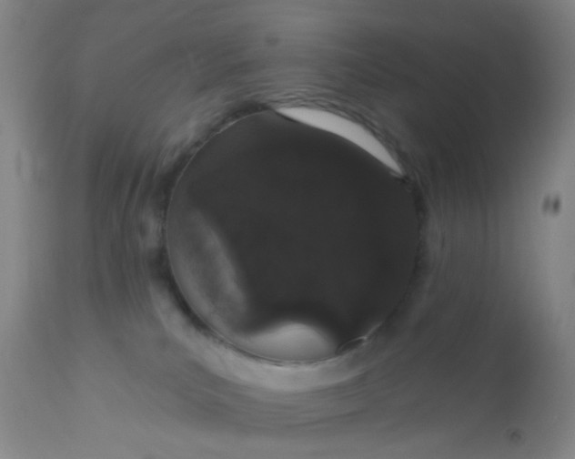 X0000110960039200907022231