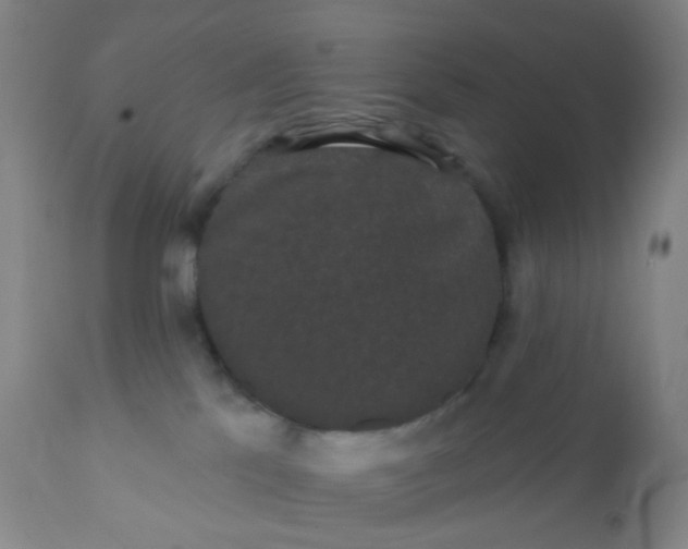 X0000110960041200907022231