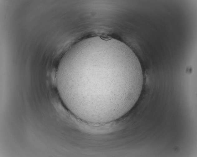 X0000110960042200907022231