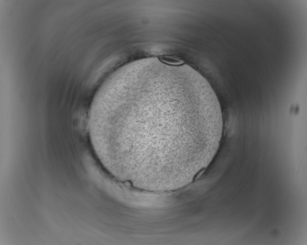 X0000110960044200907022231