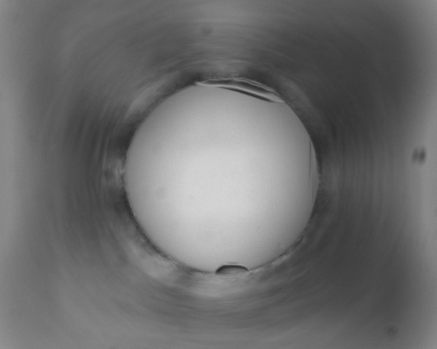 X0000110960045200907022231