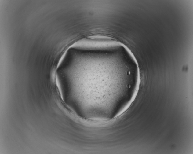 X0000110960047200907022231