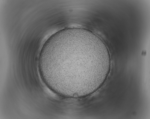 X0000110960049200907022230