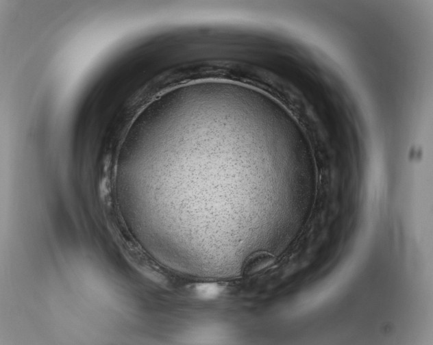 X0000110960050200907022230