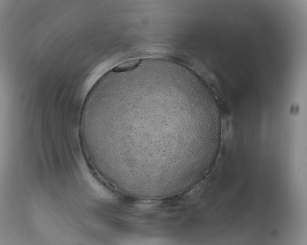 X0000110960051200907022231