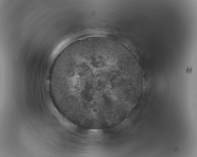 X0000110960053200907022231