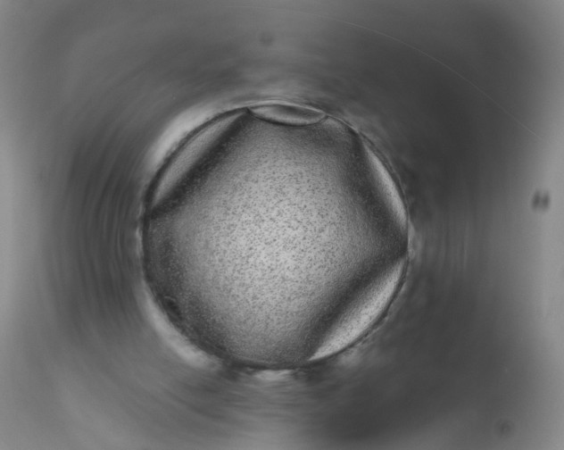 X0000110960054200907022231