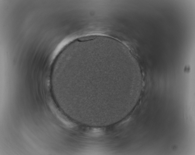 X0000110960056200907022231