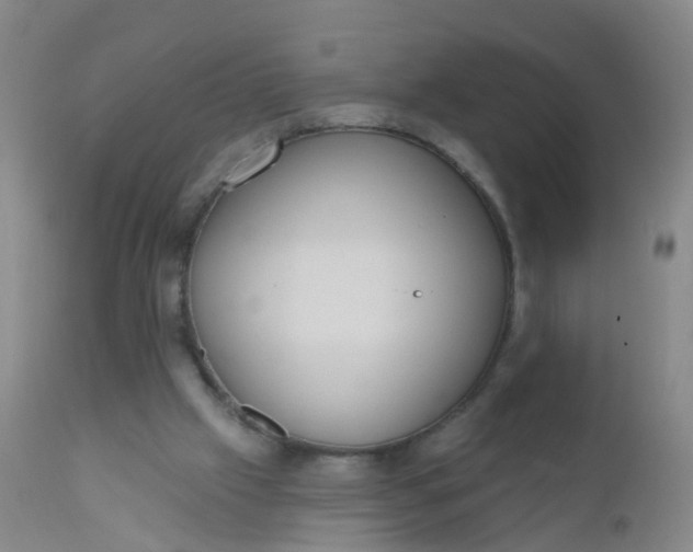 X0000110960057200907022231