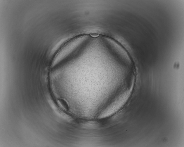 X0000110960058200907022231