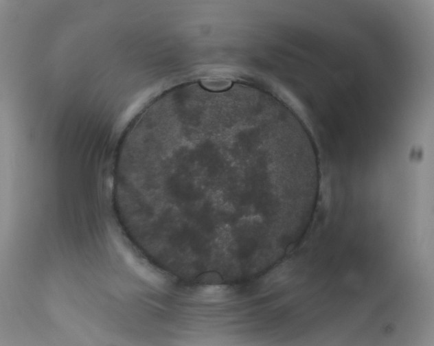 X0000110960059200907022231