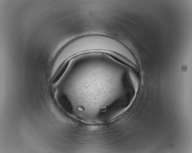 X0000110960060200907022231