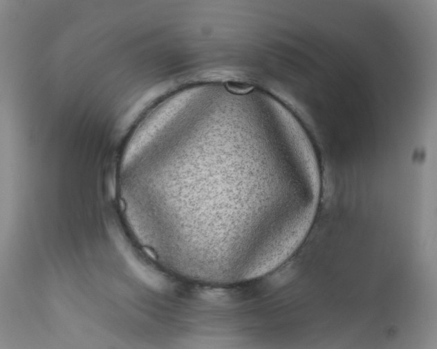 X0000110960062200907022231