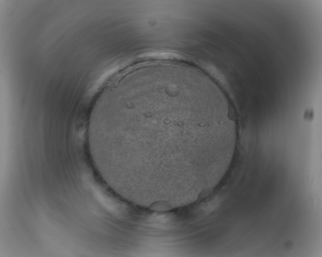 X0000110960063200907022231