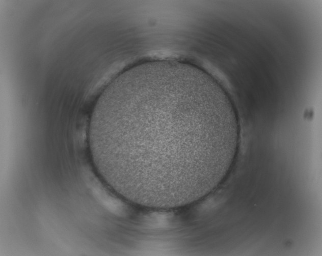 X0000110960065200907022231