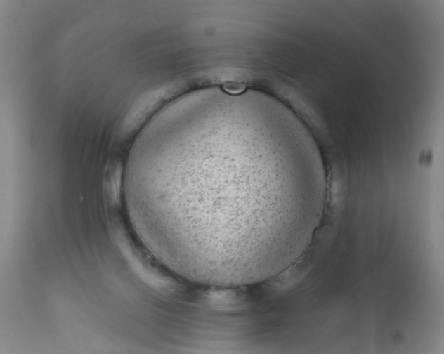 X0000110960070200907022231