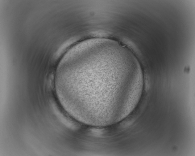 X0000110960071200907022231