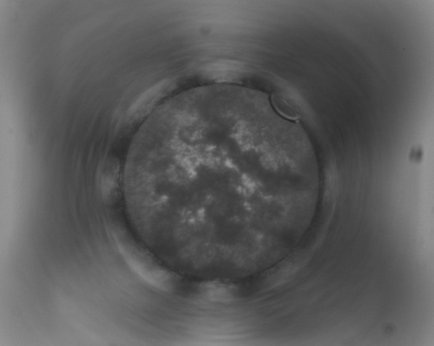 X0000110960073200907022231