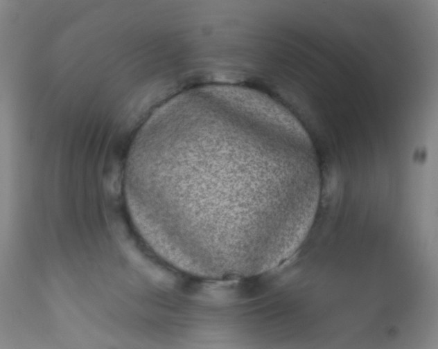 X0000110960078200907022231