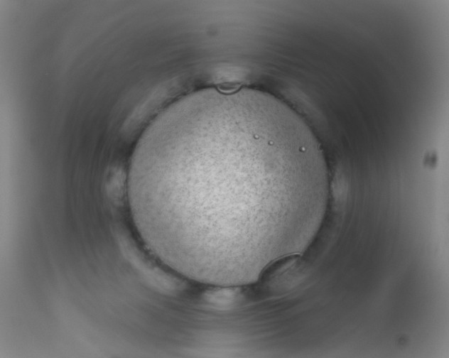 X0000110960079200907022231