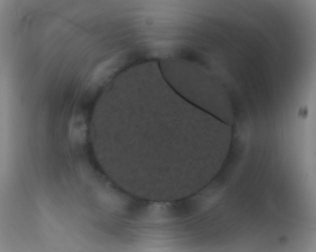 X0000110960080200907022231