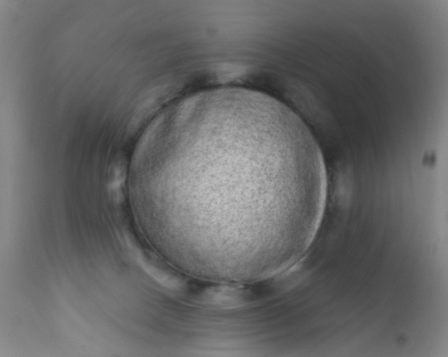 X0000110960082200907022231