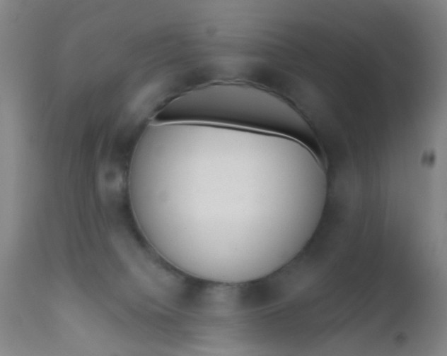 X0000110960084200907022231