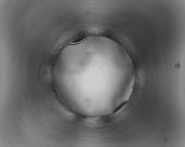 X0000110960086200907022231