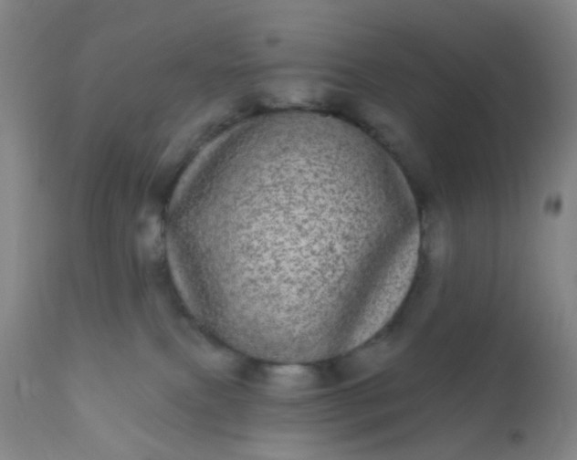 X0000110960087200907022231