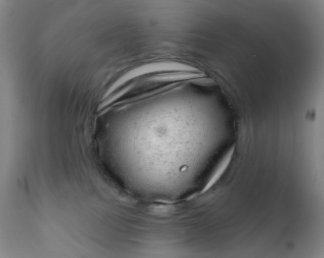 X0000110960088200907022231