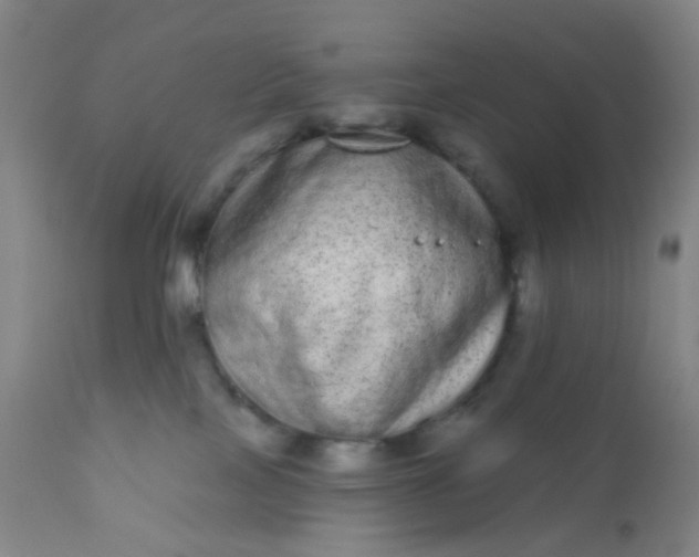 X0000110960089200907022231