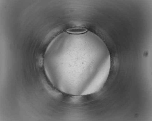 X0000110960090200907022231